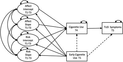 Predicting cigarette use initiation and dependence in adolescence using an affect-driven exploration model